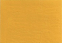 2005 GM Highway Yellow